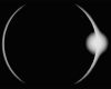 solar-eclipse-2022-11-16-16-41-01-utc-copy.jpg